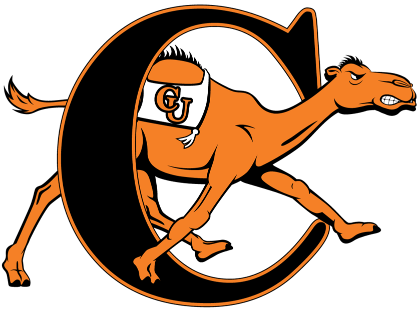 Campbell Fighting Camels decals